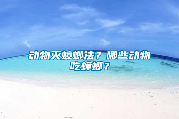 動物滅蟑螂法？哪些動物吃蟑螂？