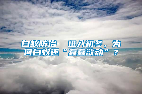 白蟻防治  進(jìn)入初冬，為何白蟻還“蠢蠢欲動”？