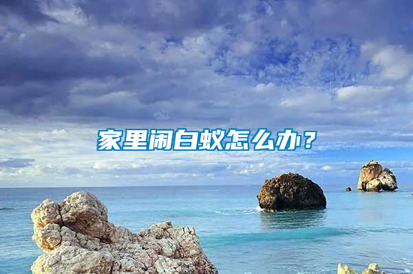 家里鬧白蟻怎么辦？