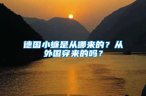 德國(guó)小蠊是從哪來(lái)的？從外國(guó)穿來(lái)的嗎？