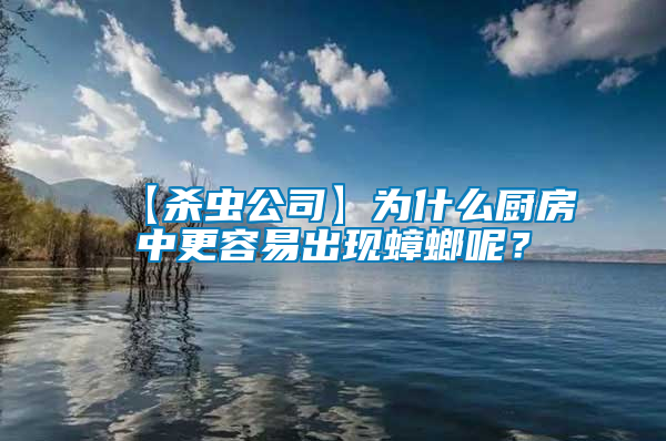 【殺蟲(chóng)公司】為什么廚房中更容易出現(xiàn)蟑螂呢？