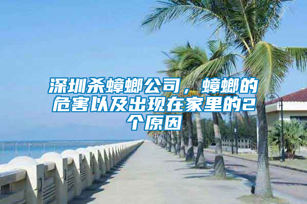 深圳殺蟑螂公司，蟑螂的危害以及出現(xiàn)在家里的2個原因