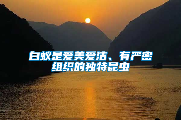 白蟻是愛美愛潔、有嚴(yán)密組織的獨(dú)特昆蟲