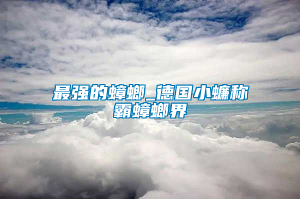 最強(qiáng)的蟑螂_德國(guó)小蠊稱霸蟑螂界