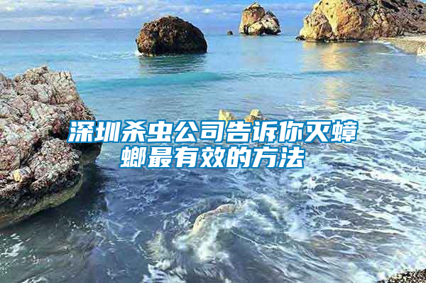 深圳殺蟲(chóng)公司告訴你滅蟑螂最有效的方法