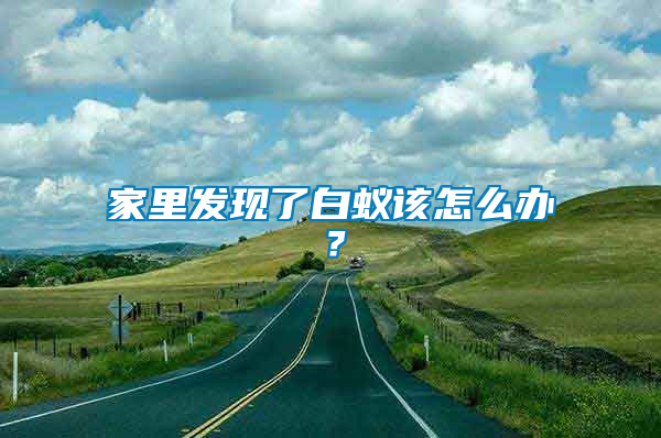 家里發(fā)現(xiàn)了白蟻該怎么辦？