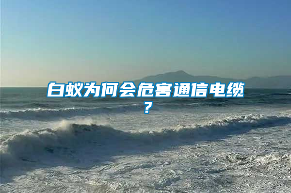 白蟻為何會(huì)危害通信電纜？