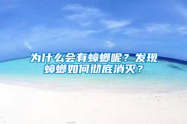 為什么會有蟑螂呢？發(fā)現蟑螂如何徹底消滅？