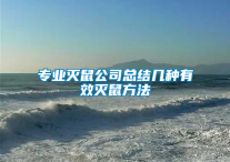 專(zhuān)業(yè)滅鼠公司總結(jié)幾種有效滅鼠方法